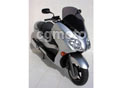 PB SCOOTER SPORT FORZA 250 (+ SUPPORT LC)2008/2009